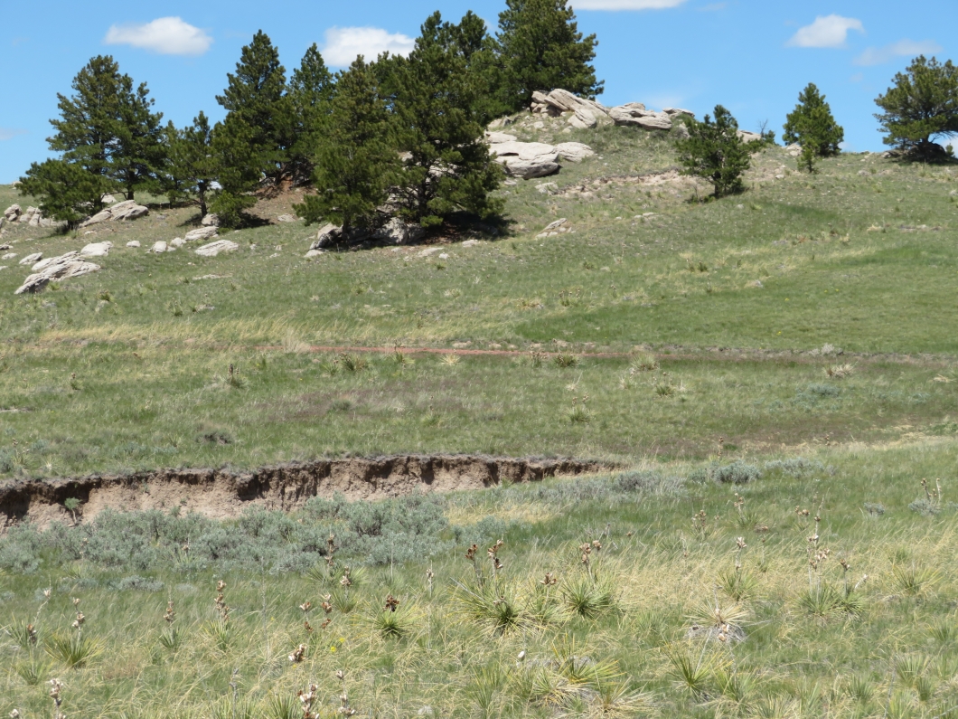 Diamond B Realty Torrington, WY